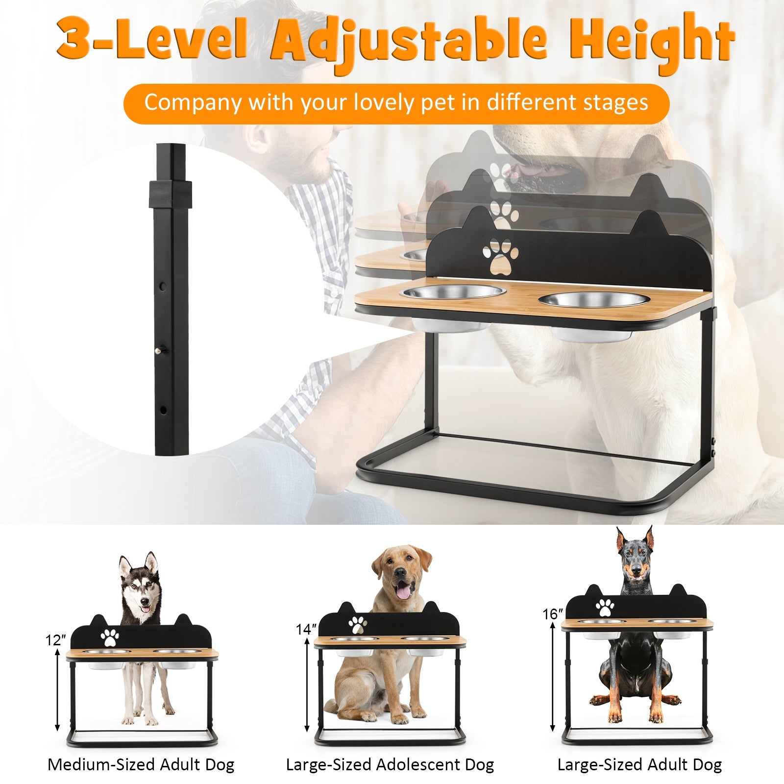 Dog Bowl Stand with 2 Stainless Steel Food Water Bowls - view 6