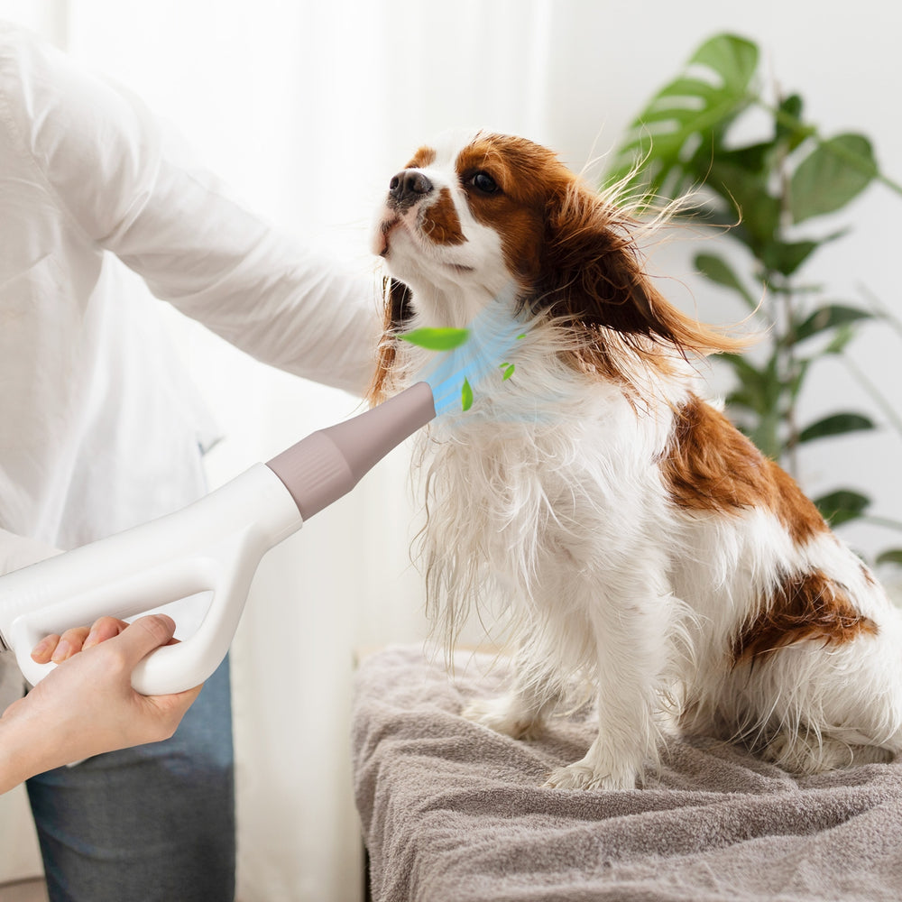 Dog Cat Hair Blower with Negative Ion Function and Adjustable Temperature Pet - view 2