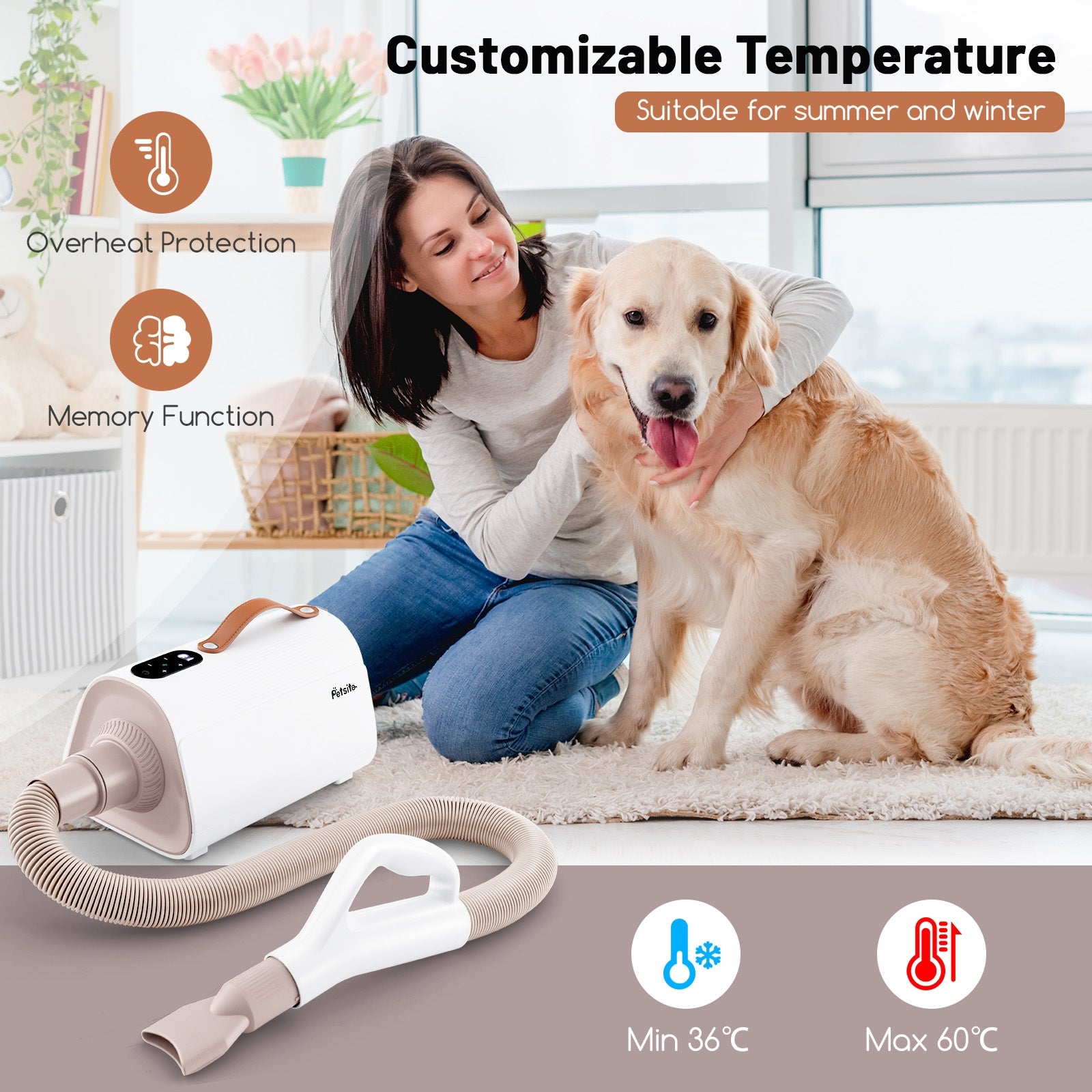 Dog Cat Hair Blower with Negative Ion Function and Adjustable Temperature Pet - view 3