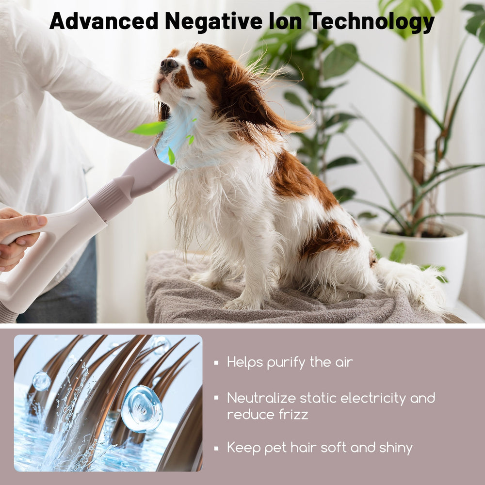 Dog Cat Hair Blower with Negative Ion Function and Adjustable Temperature Pet - view 5