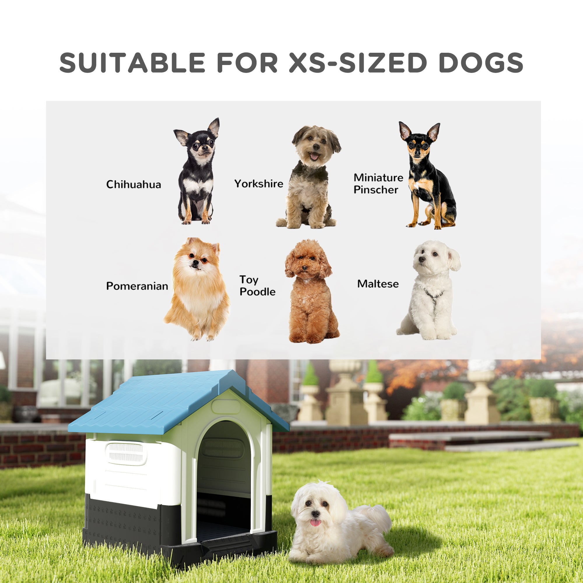 Outside Dog Kennel House with Windows, Base Support, for Garden Patio - view 3
