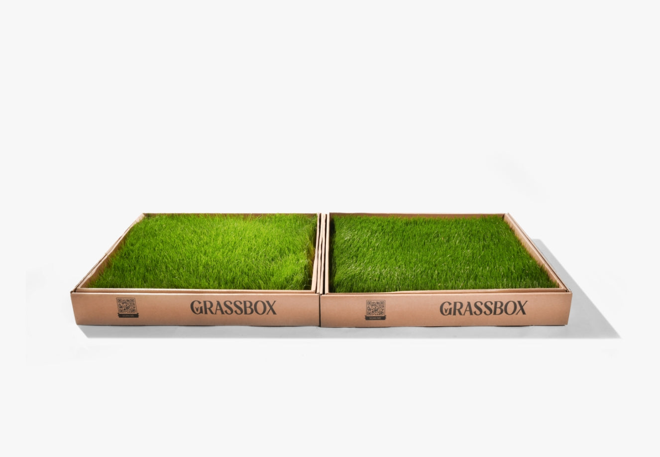 Real GrassBox Indoor Dog Potty | Live Grass Patch for Apartments (Canada)