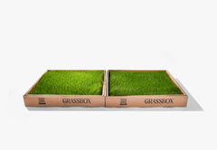 Real GrassBox Indoor Dog Potty | Live Grass Patch for Apartments (Canada)