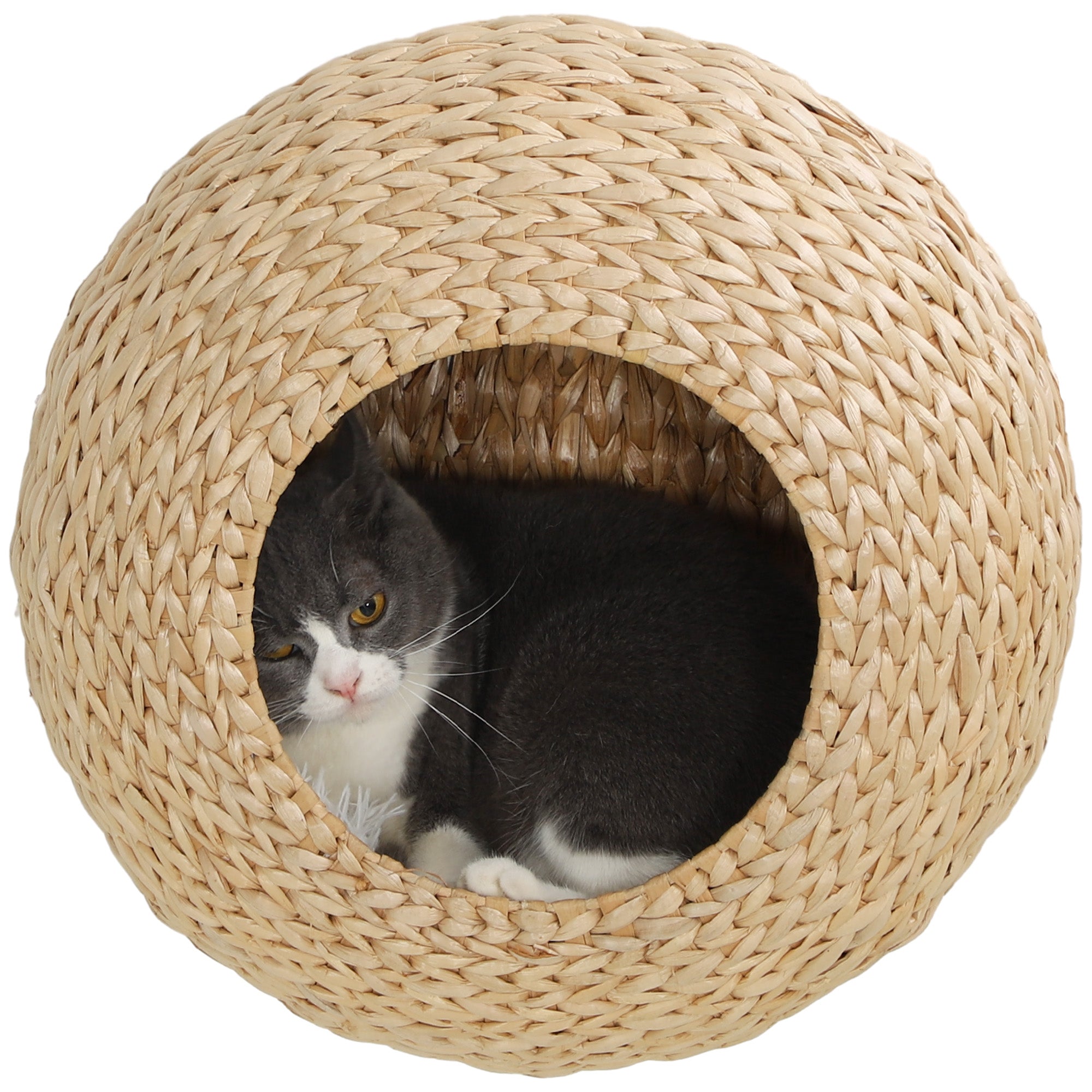 Cat Wall Shelf with Washable Cushion, Wall Mounted Cat Condo Furniture